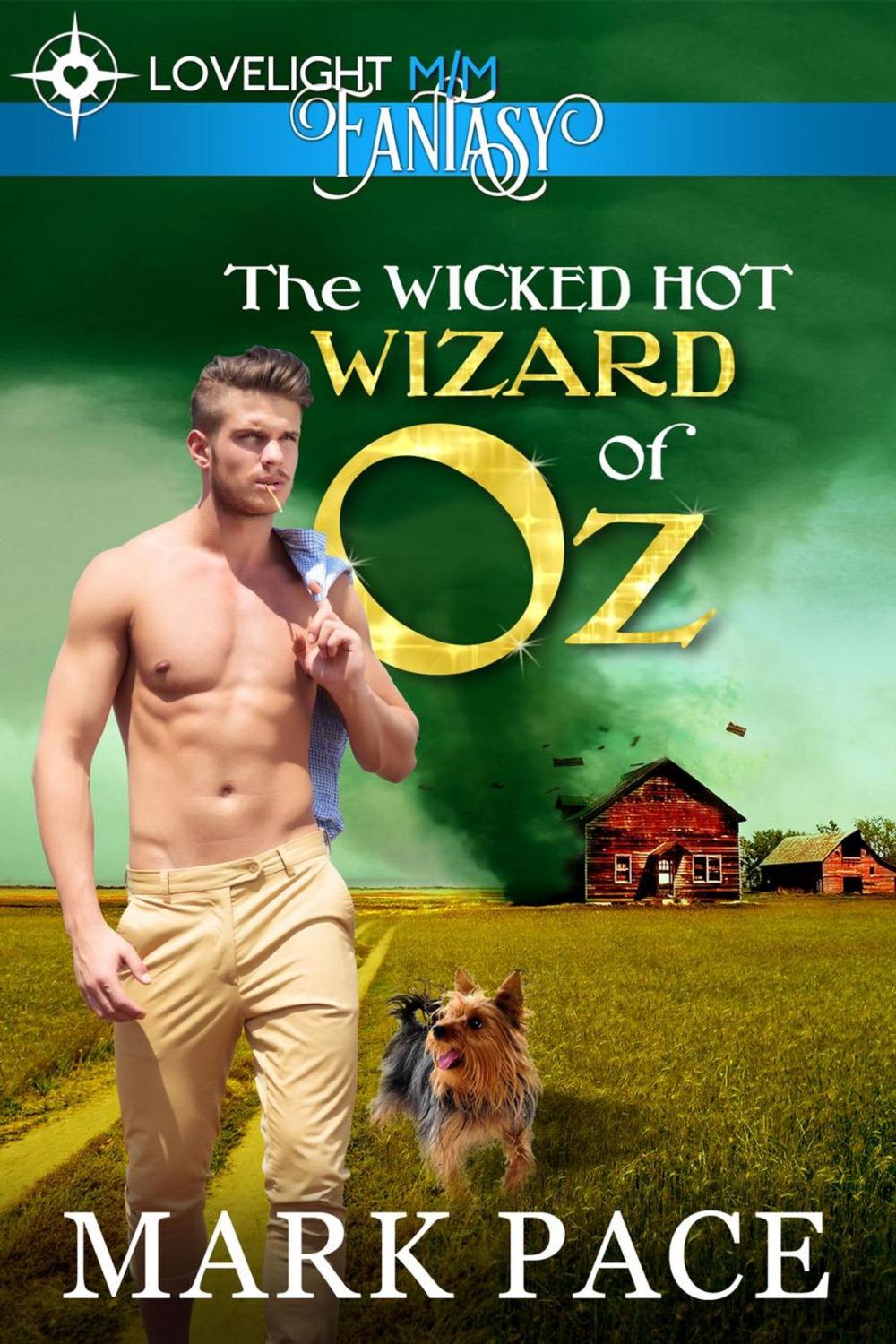 Big bigCover of The Wicked Hot Wizard of Oz