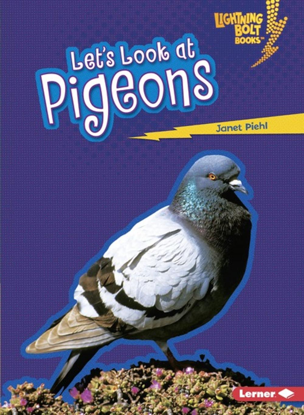 Big bigCover of Let's Look at Pigeons