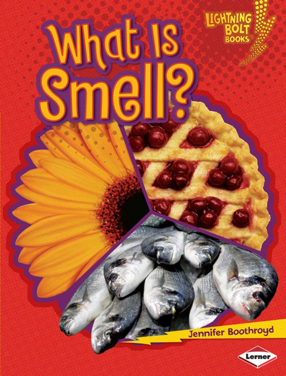 Big bigCover of What Is Smell?