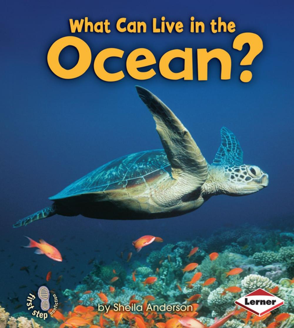 Big bigCover of What Can Live in the Ocean?