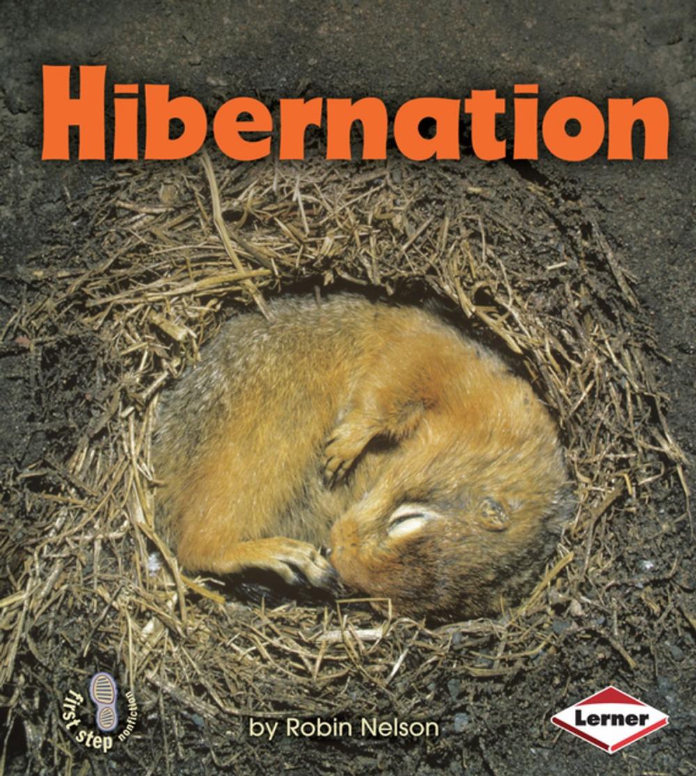 Big bigCover of Hibernation