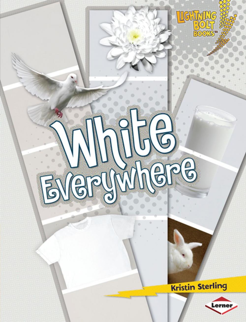 Big bigCover of White Everywhere