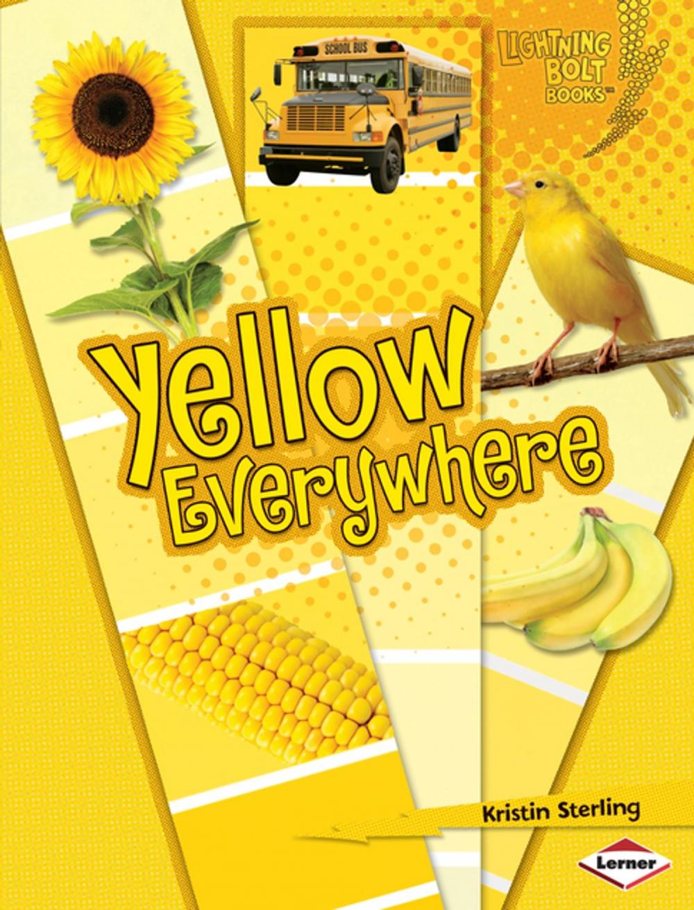 Big bigCover of Yellow Everywhere