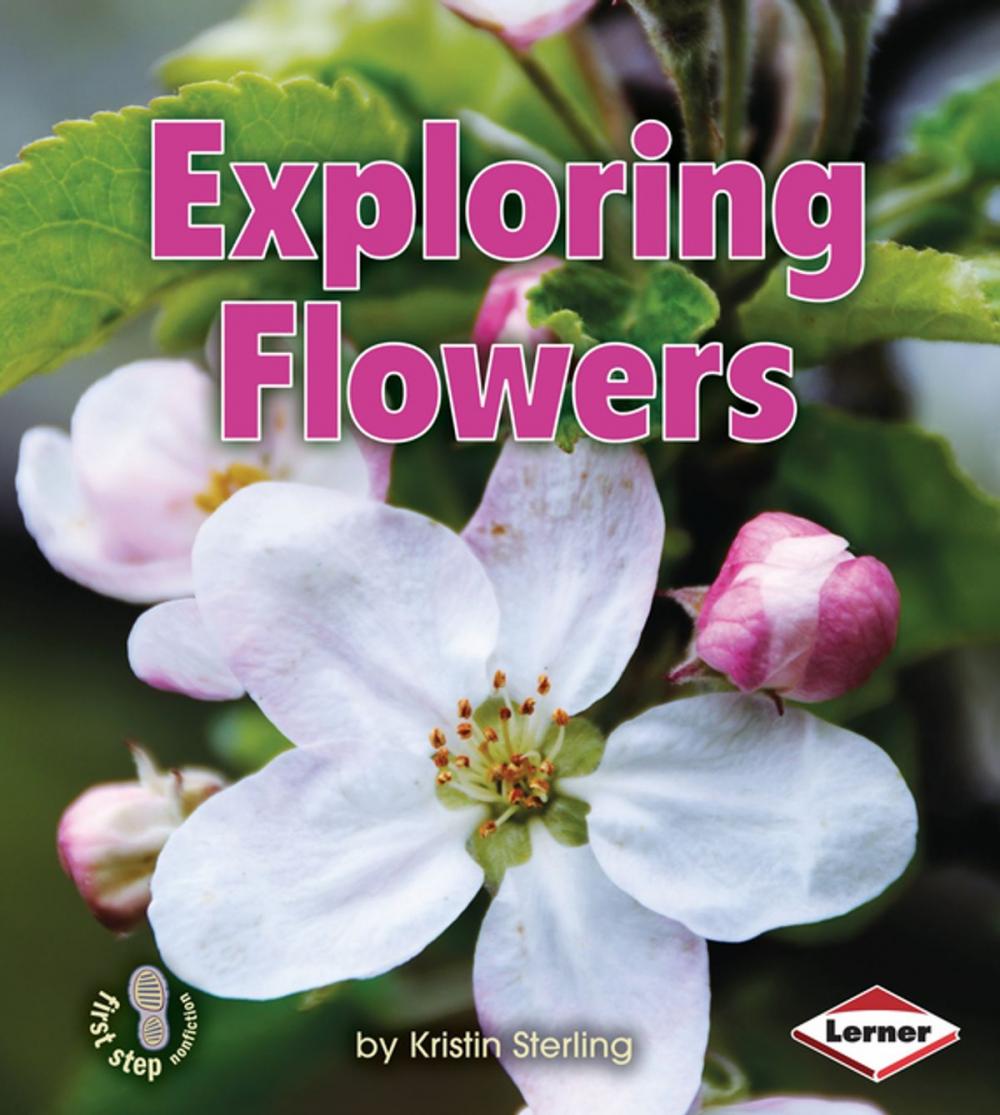 Big bigCover of Exploring Flowers