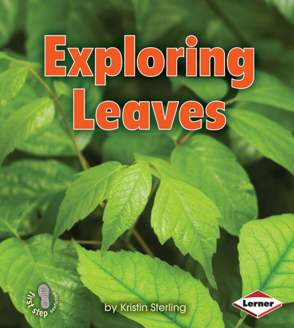 Big bigCover of Exploring Leaves