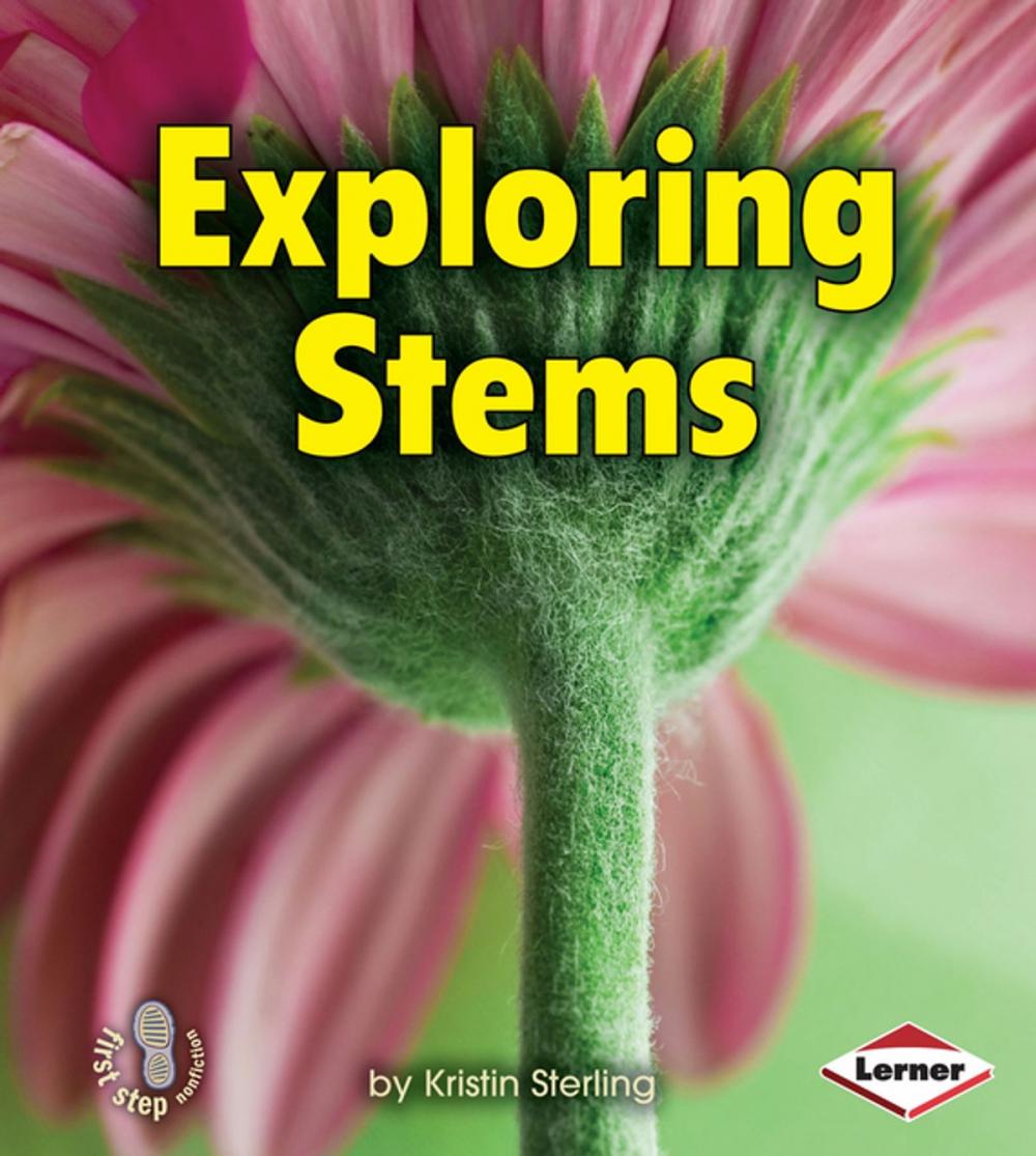 Big bigCover of Exploring Stems