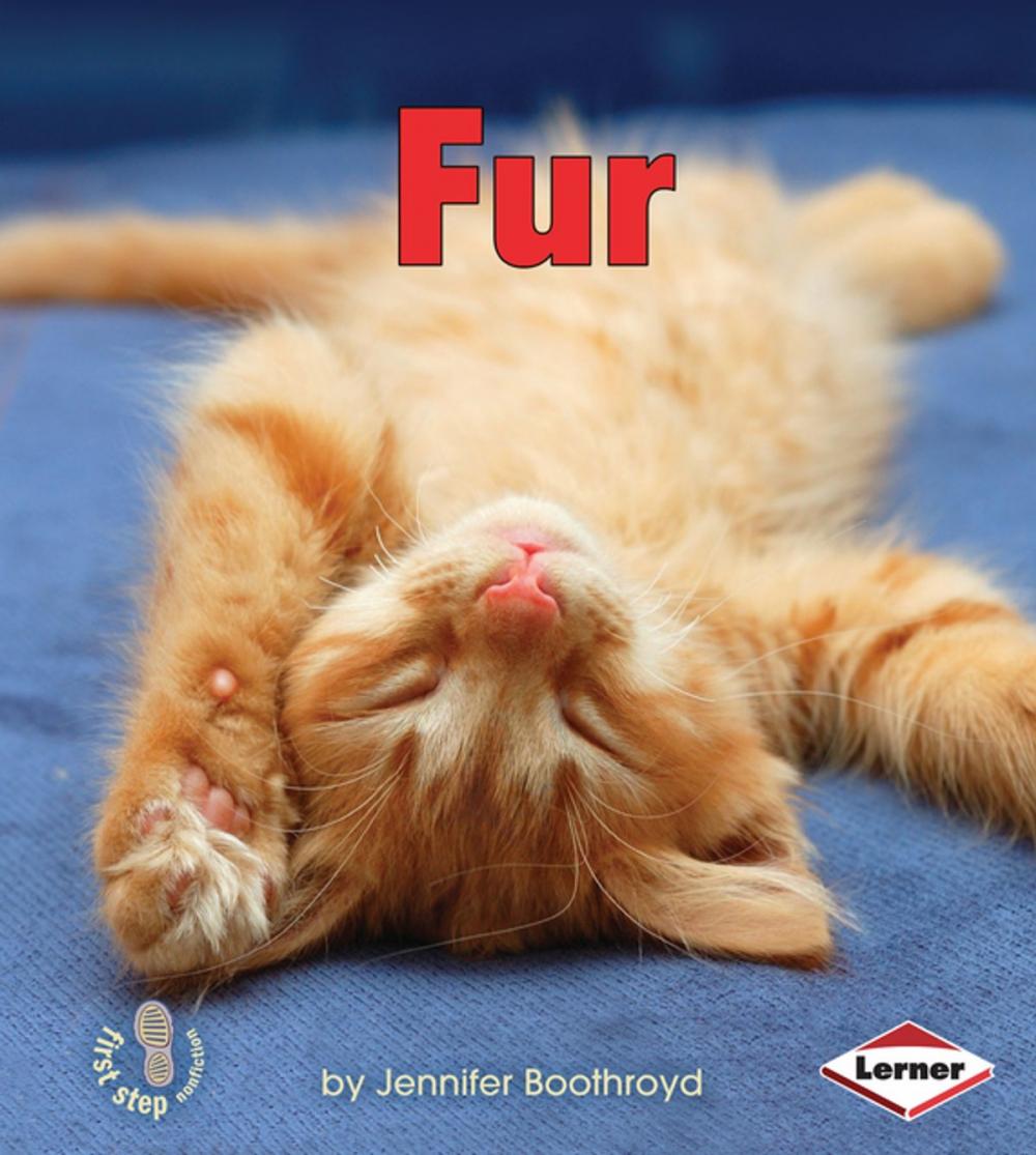 Big bigCover of Fur