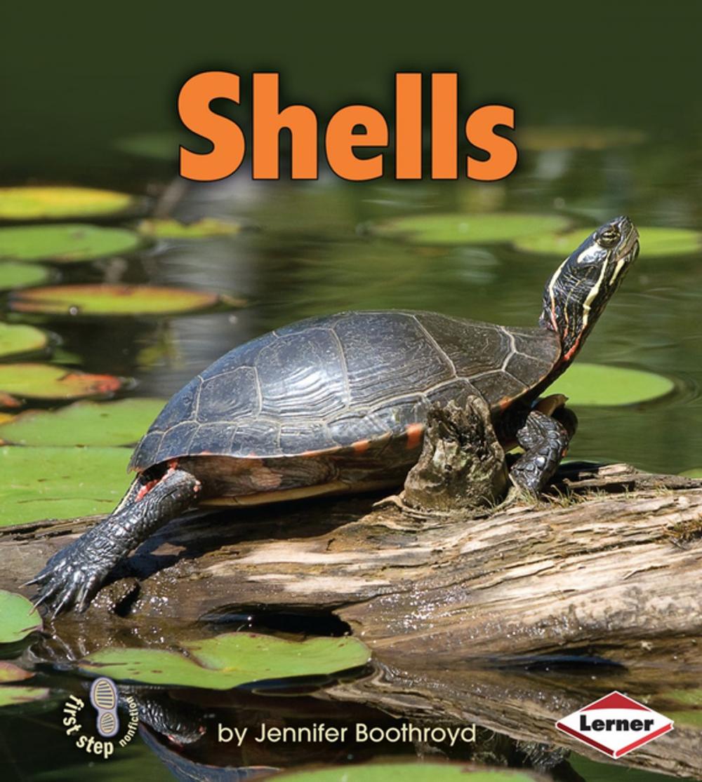 Big bigCover of Shells