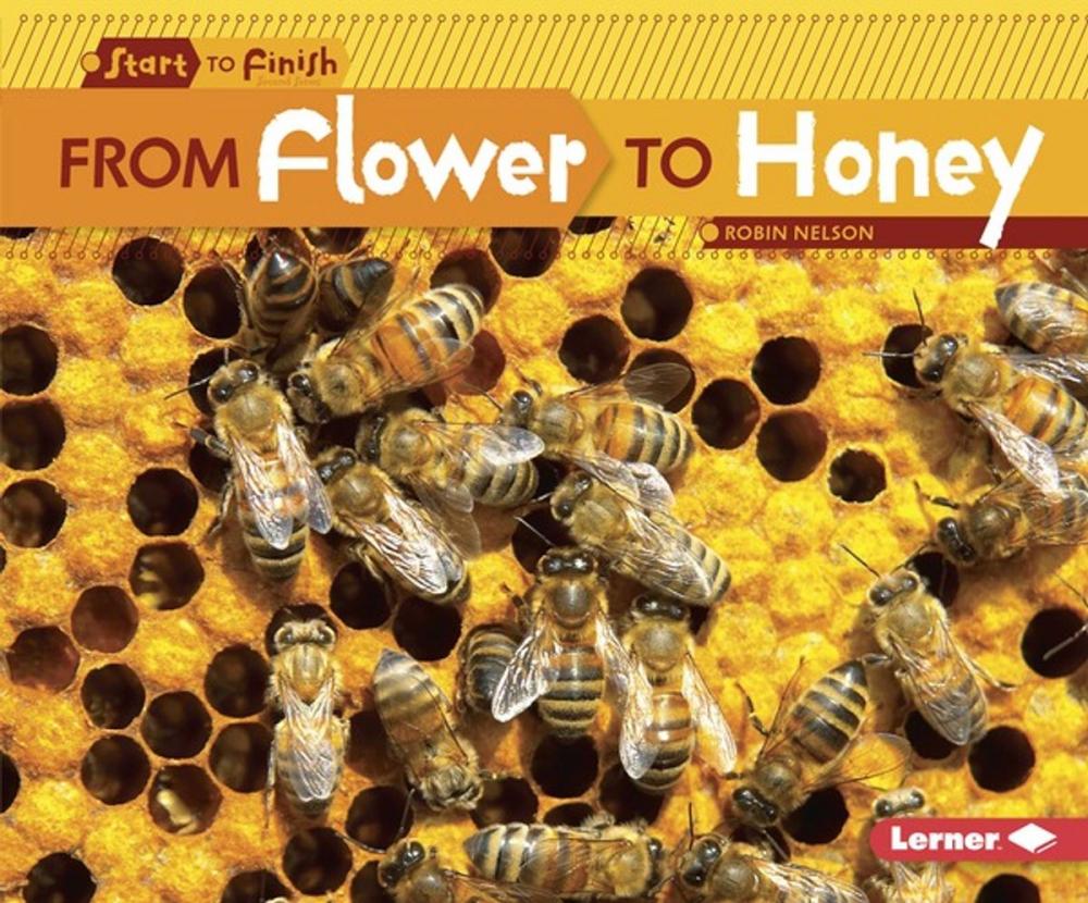 Big bigCover of From Flower to Honey