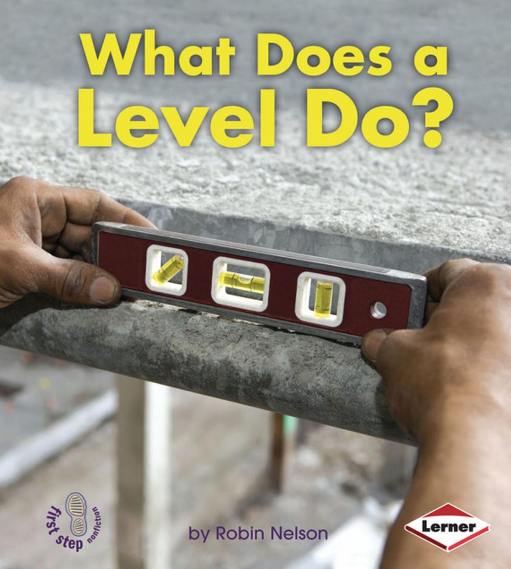 Big bigCover of What Does a Level Do?