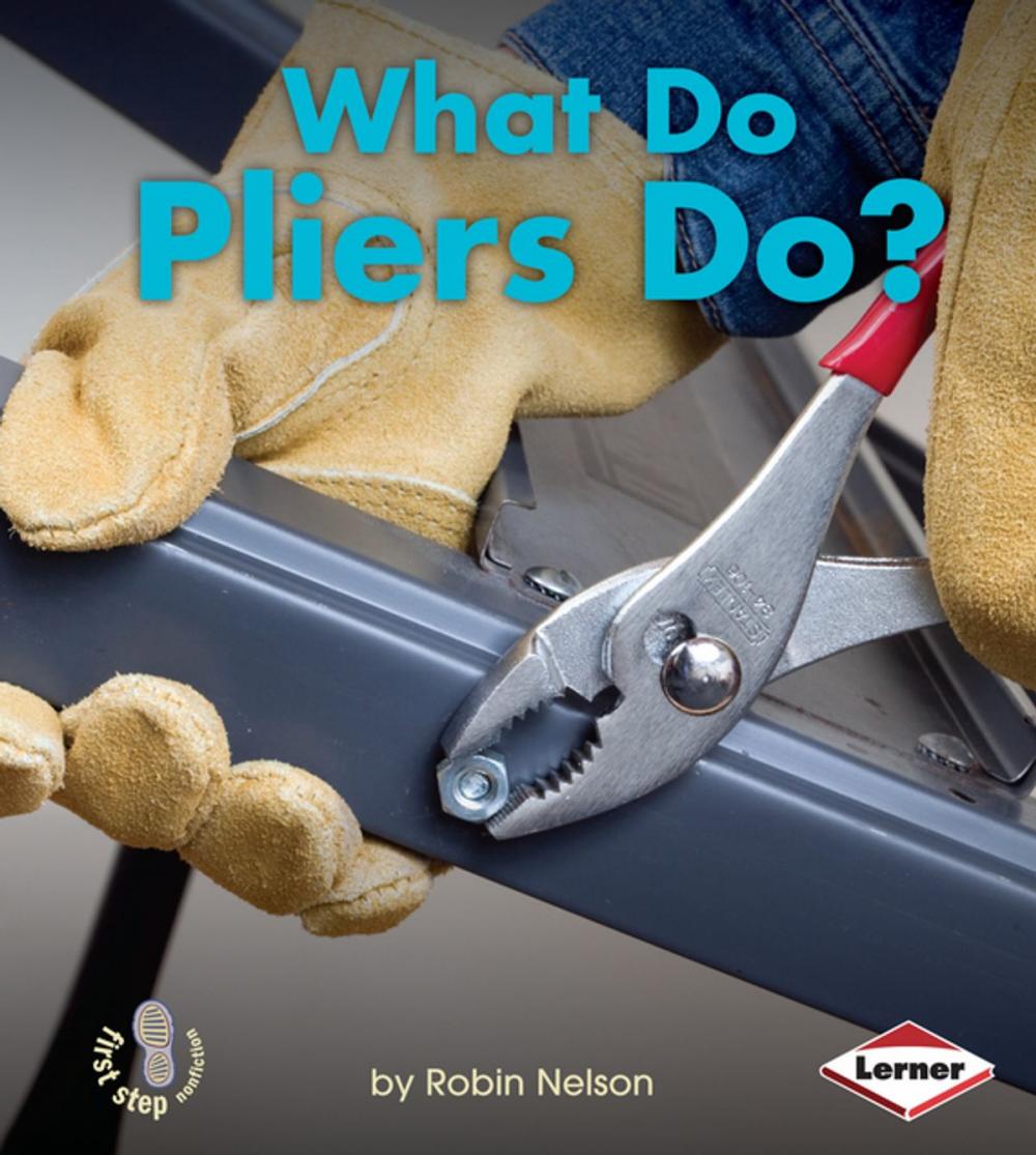 Big bigCover of What Do Pliers Do?