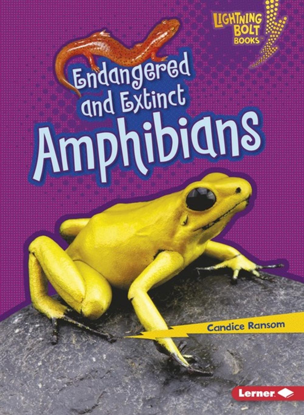 Big bigCover of Endangered and Extinct Amphibians