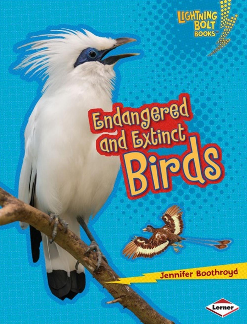 Big bigCover of Endangered and Extinct Birds