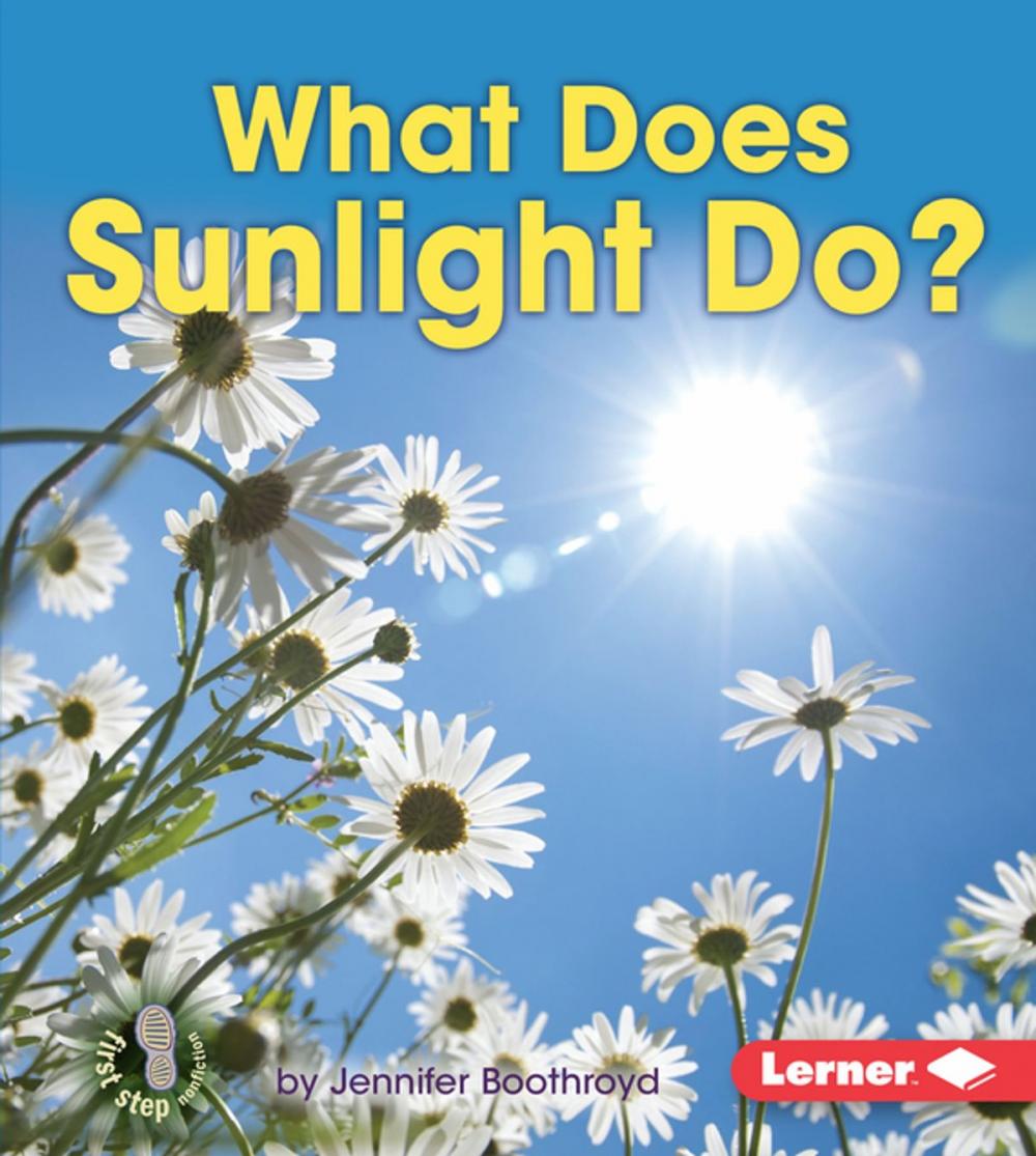 Big bigCover of What Does Sunlight Do?