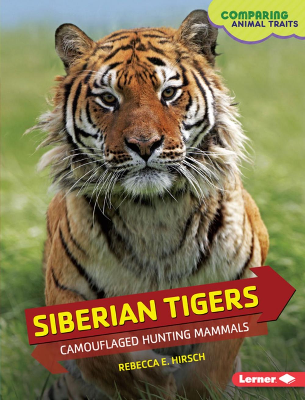 Big bigCover of Siberian Tigers