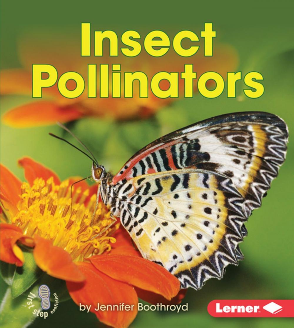 Big bigCover of Insect Pollinators