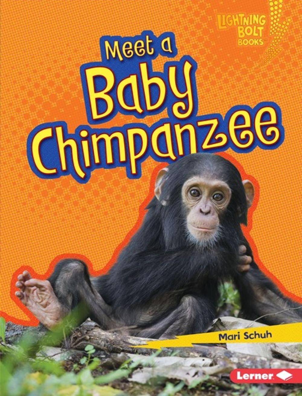 Big bigCover of Meet a Baby Chimpanzee