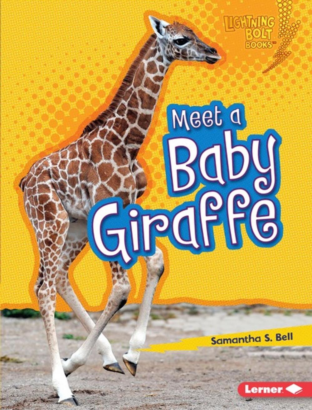 Big bigCover of Meet a Baby Giraffe