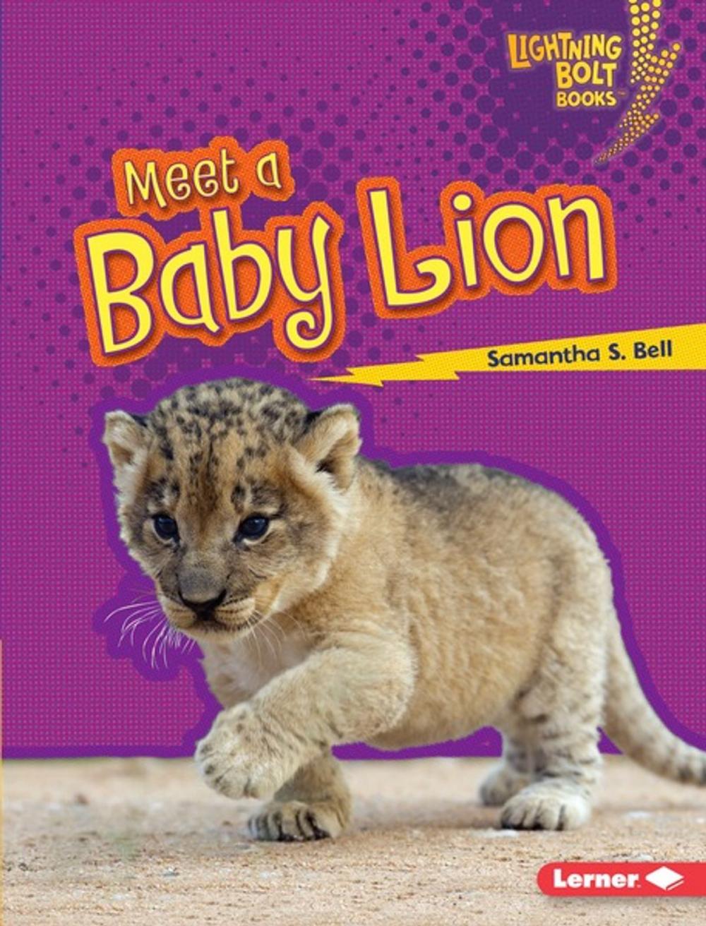 Big bigCover of Meet a Baby Lion