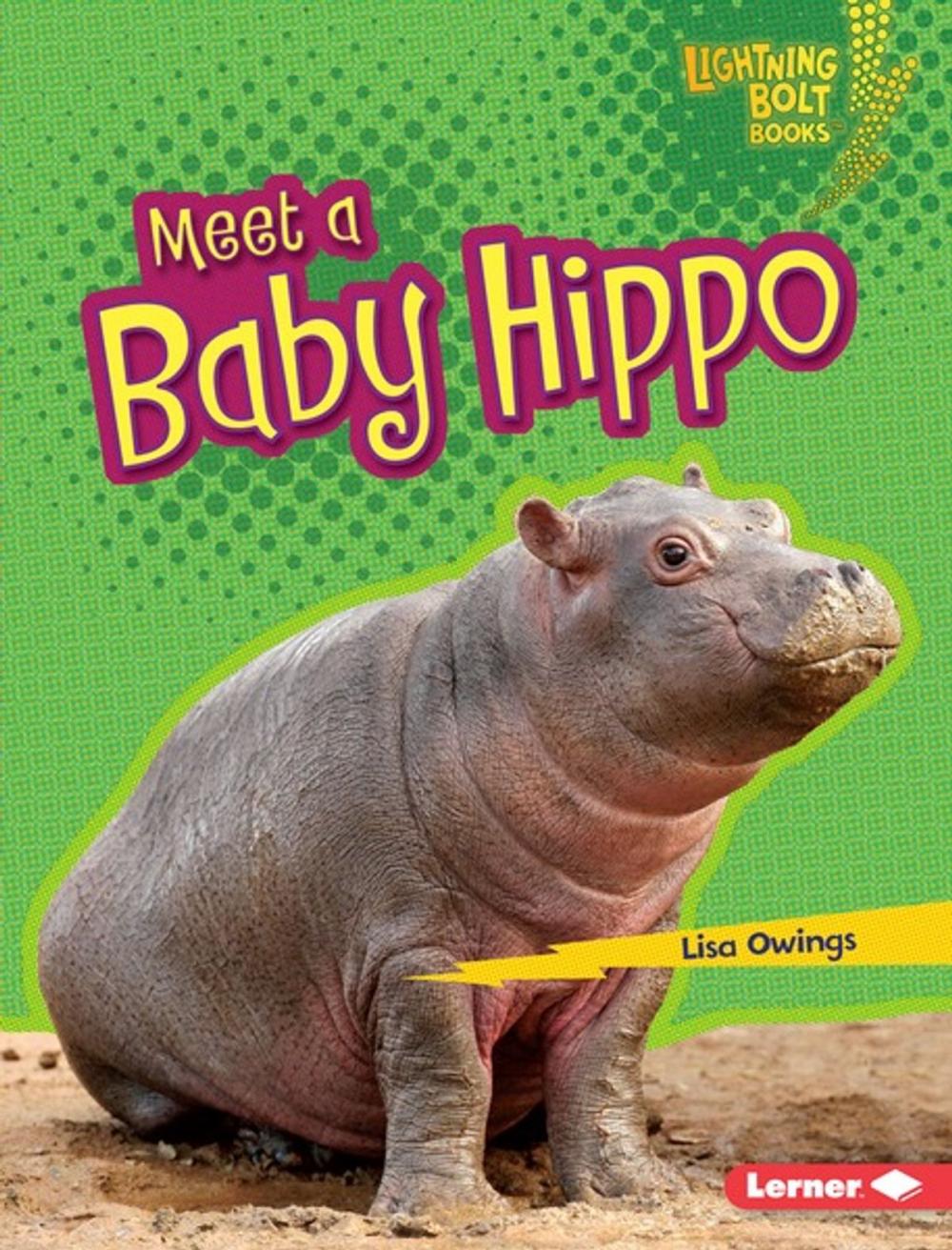 Big bigCover of Meet a Baby Hippo