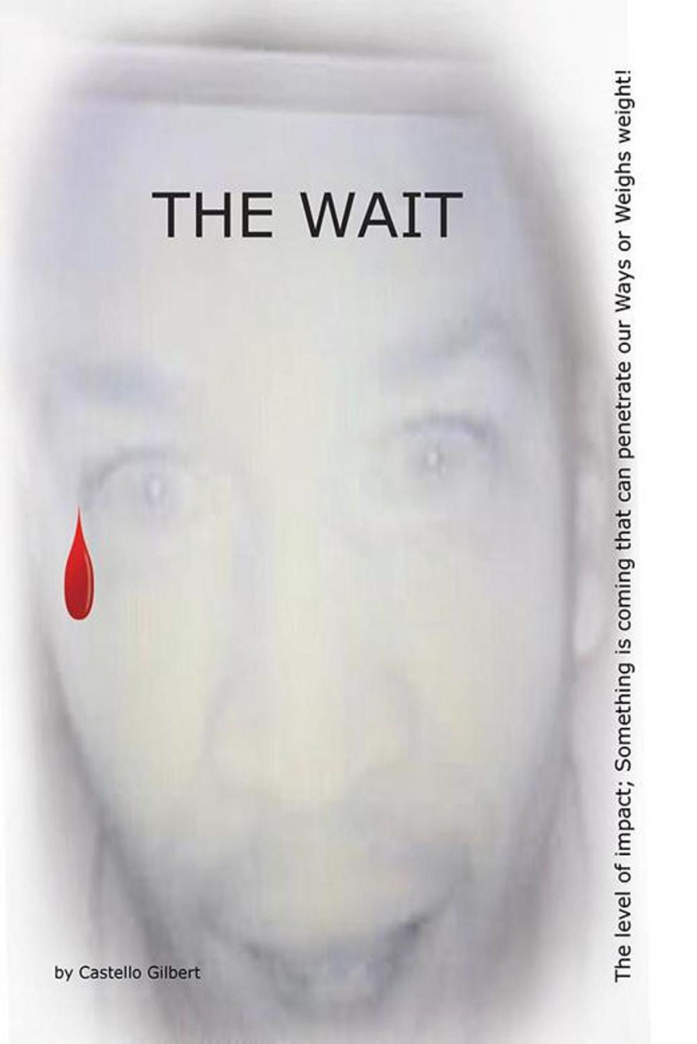 Big bigCover of The Wait