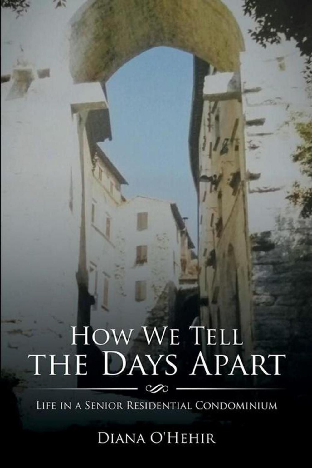 Big bigCover of How We Tell the Days Apart