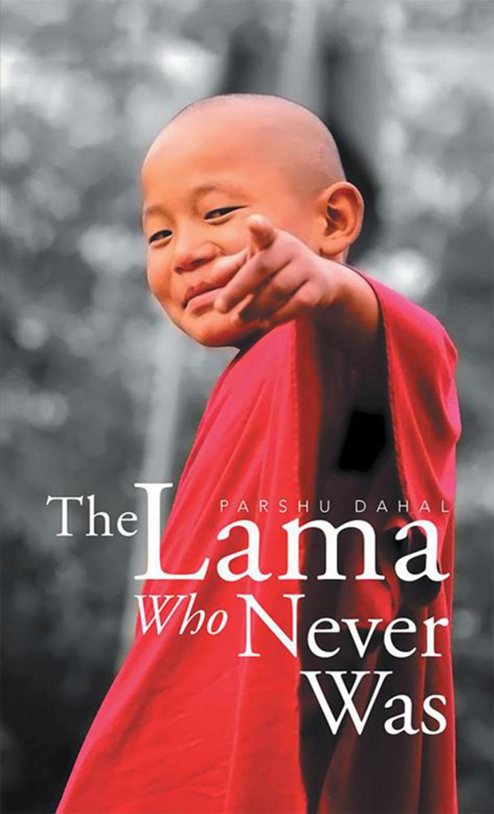 Big bigCover of The Lama Who Never Was