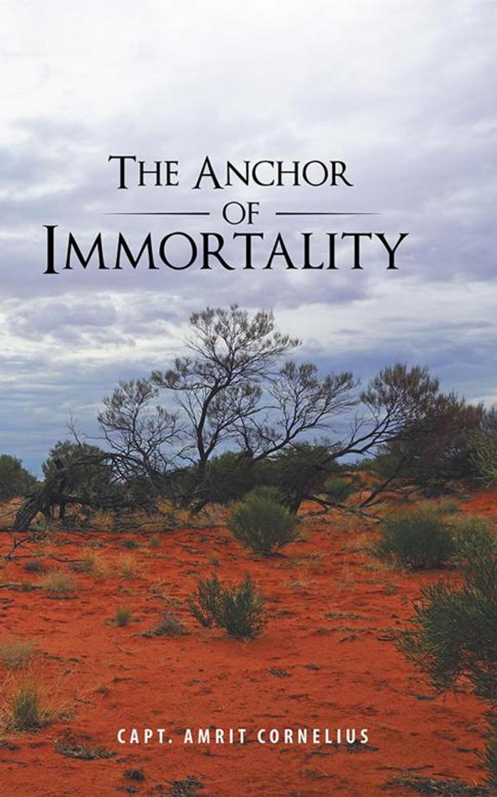 Big bigCover of The Anchor of Immortality