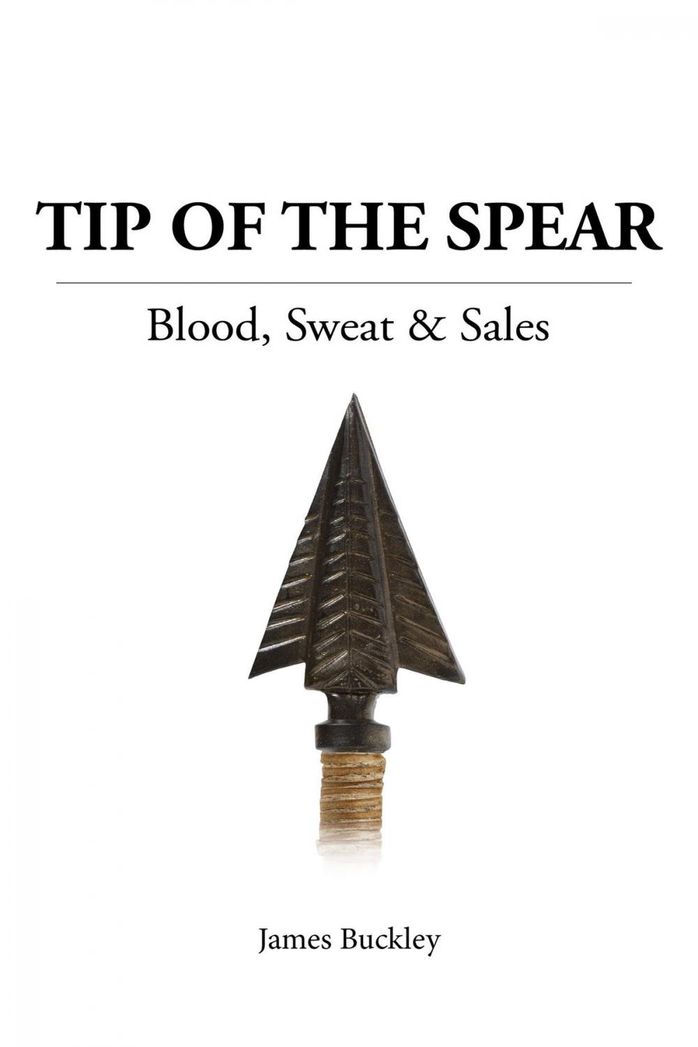 Big bigCover of Tip of the Spear