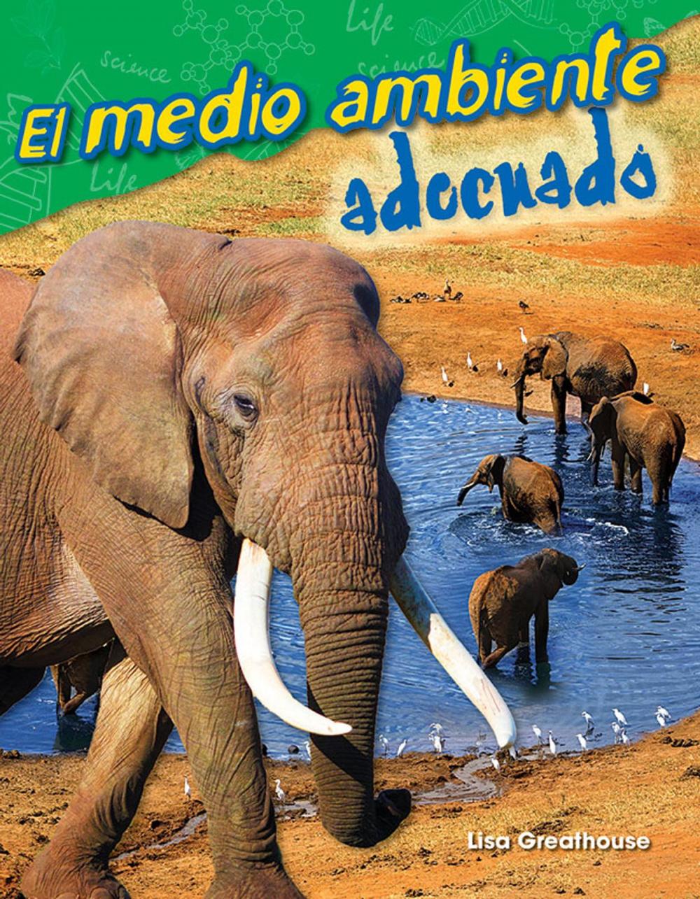 Big bigCover of El medio ambiente adecuado