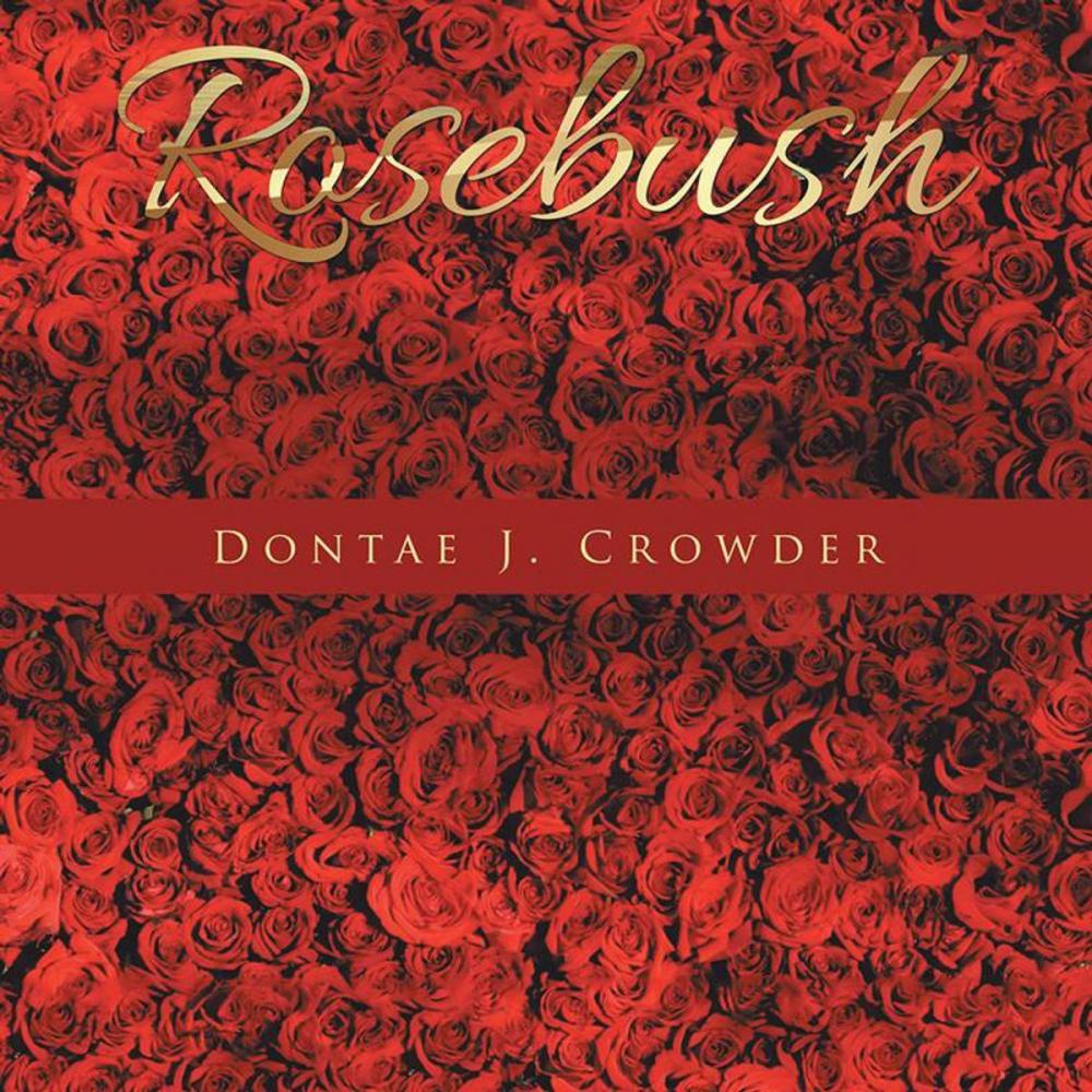 Big bigCover of Rosebush