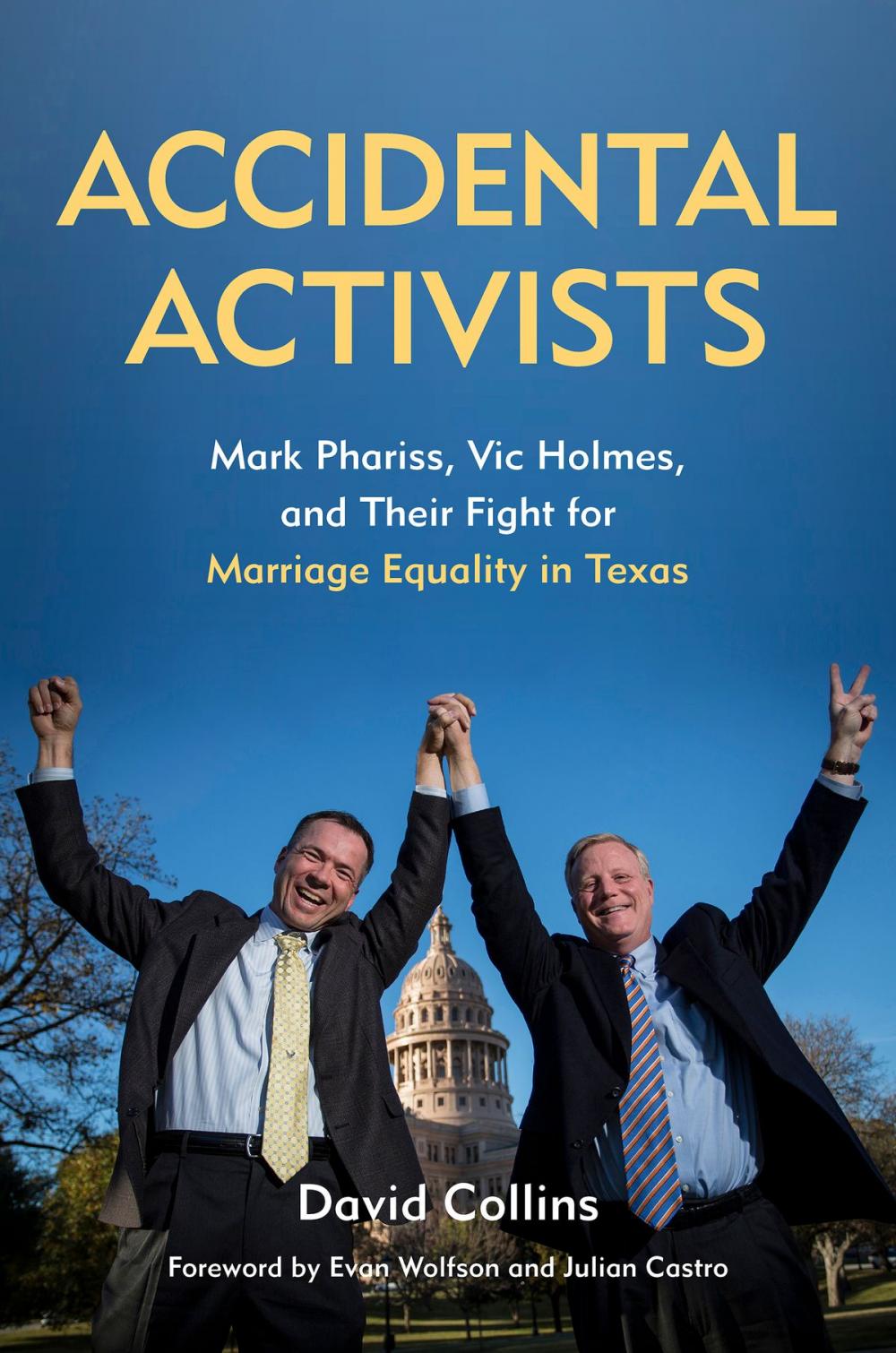 Big bigCover of Accidental Activists