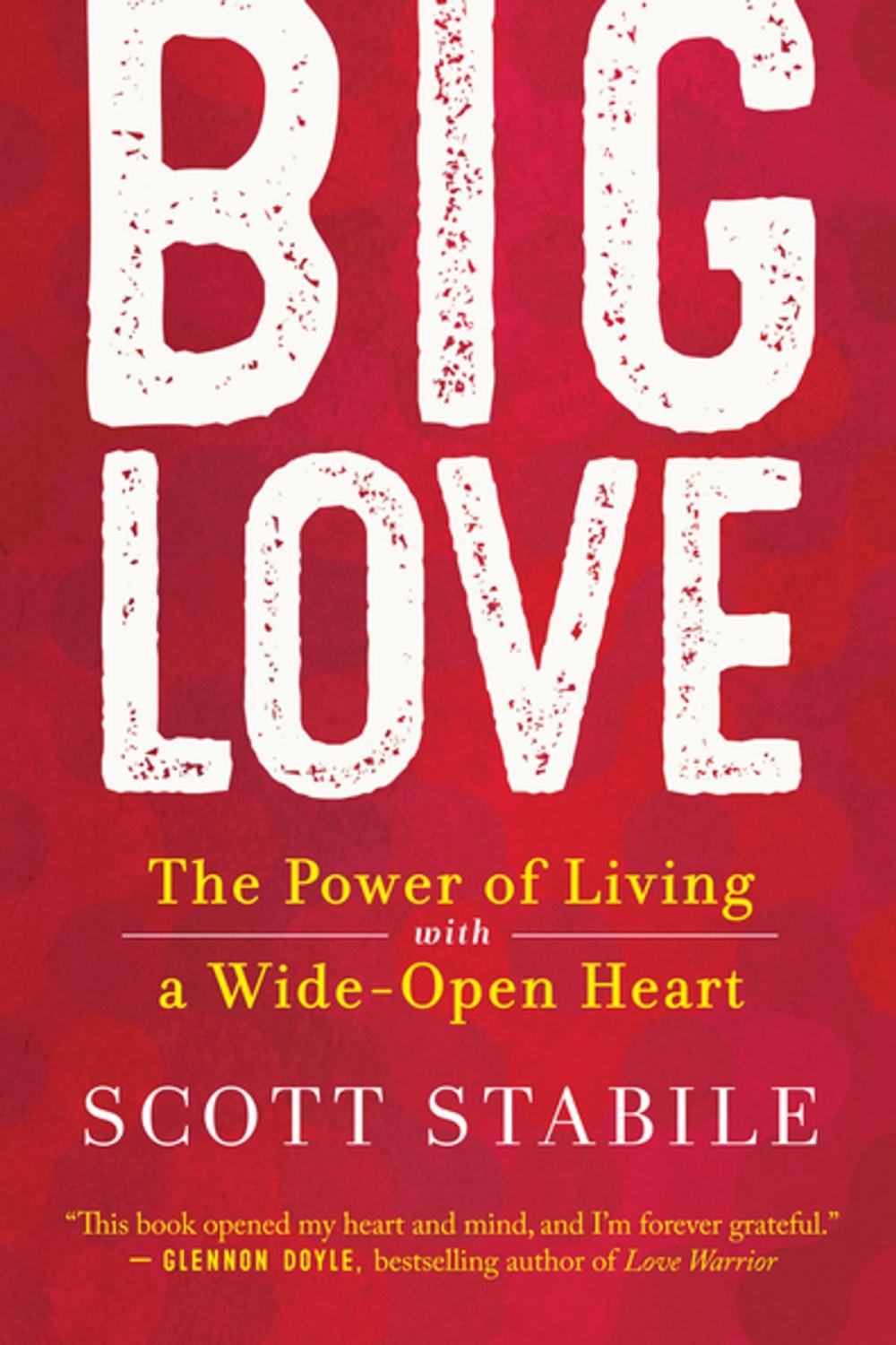 Big bigCover of Big Love