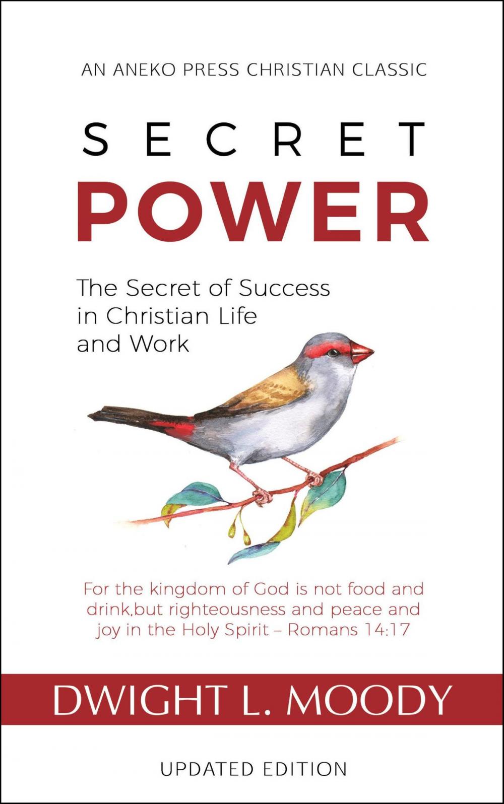 Big bigCover of Secret Power: The Secret of Success in Christian Life and Work
