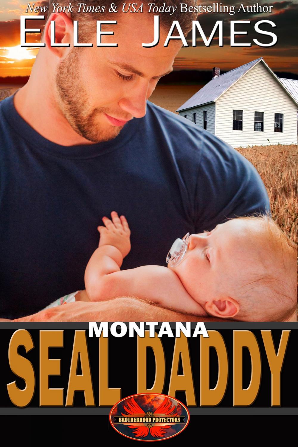 Big bigCover of Montana SEAL Daddy