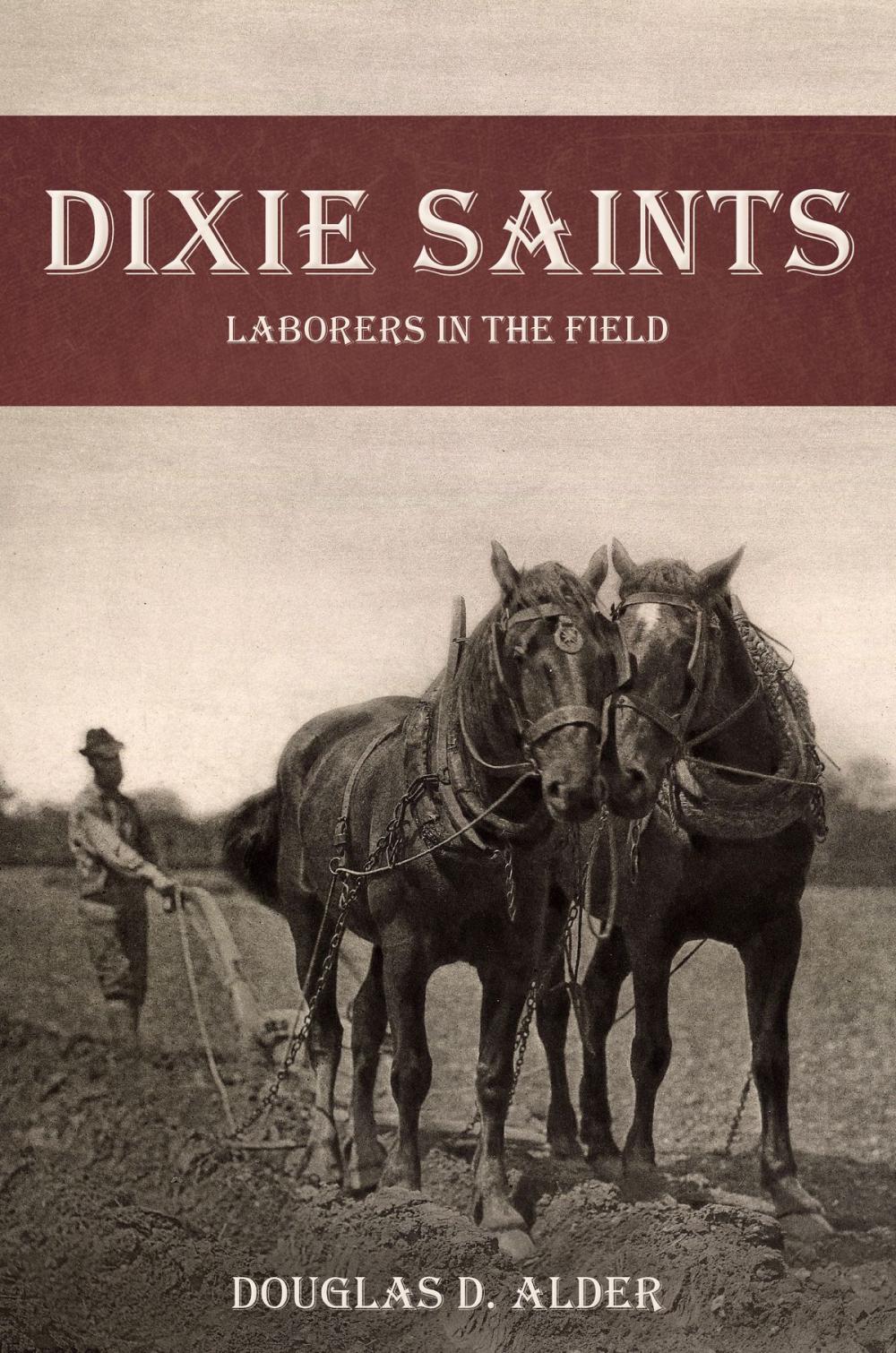 Big bigCover of Dixie Saints: Laborers in the Field