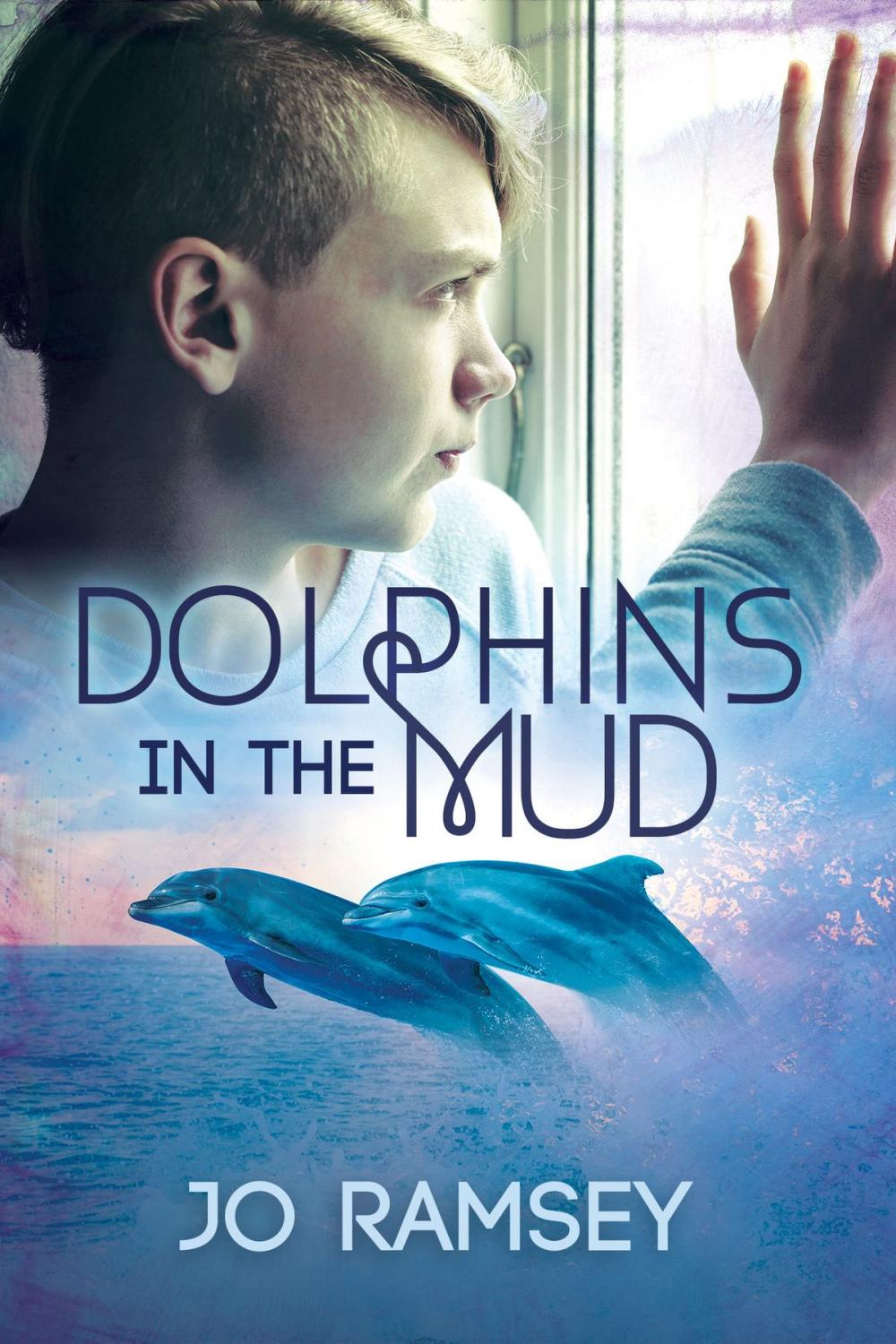 Big bigCover of Dolphins in the Mud
