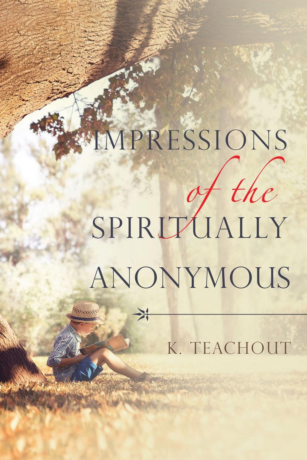 Big bigCover of Impressions of the Spiritually Anonymous