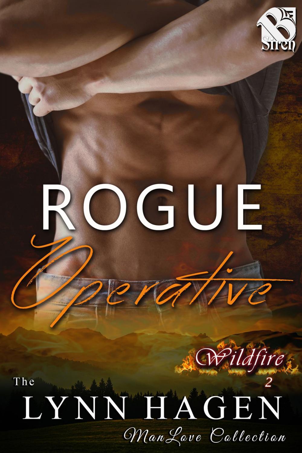 Big bigCover of Rogue Operative