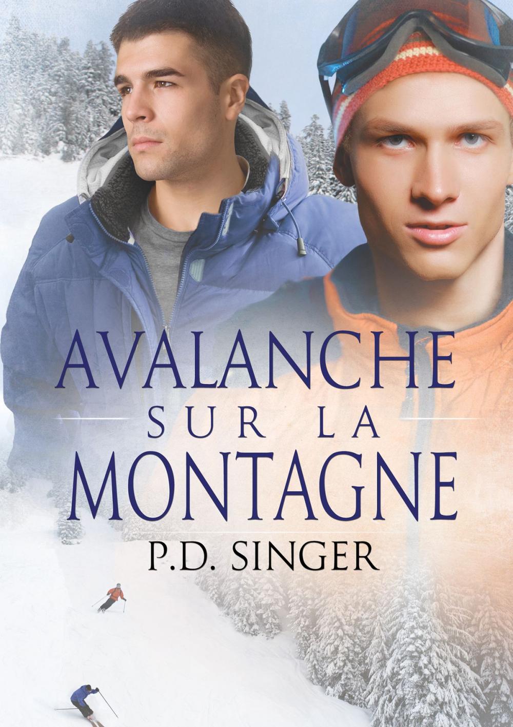 Big bigCover of Avalanche sur la montagne