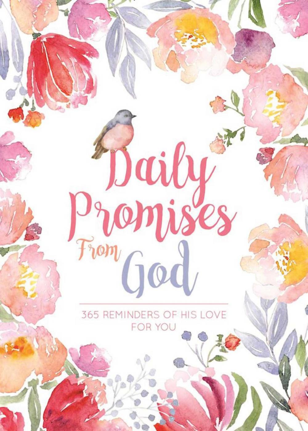 Big bigCover of Daily Promises from God