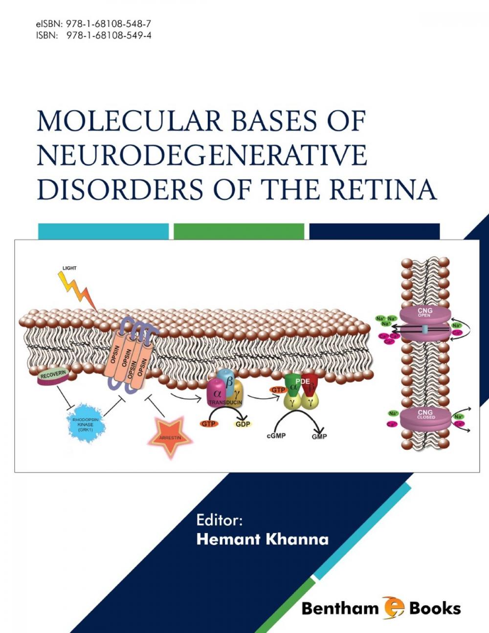 Big bigCover of Molecular Bases of Neurodegenerative Disorders of the Retina