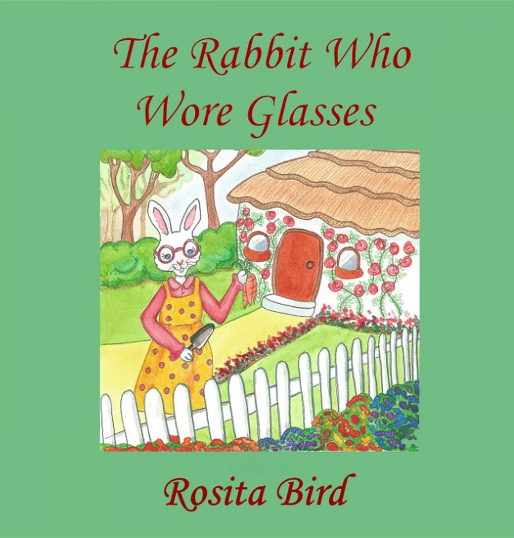 Big bigCover of The Rabbit Who Wore Glasses