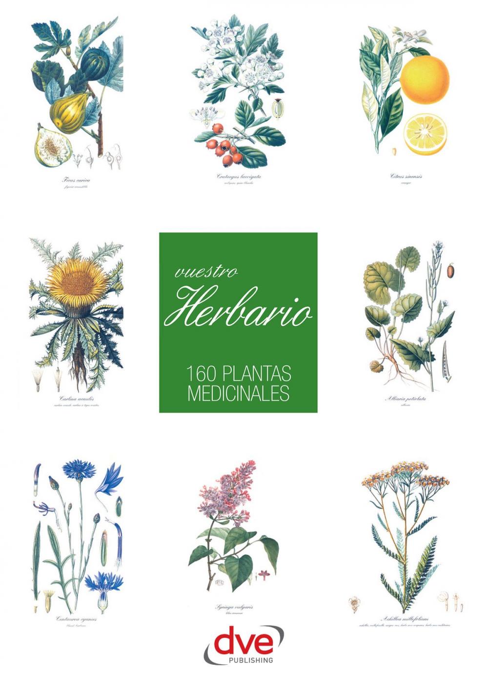 Big bigCover of Vuestro herbario. 160 plantas medicinales