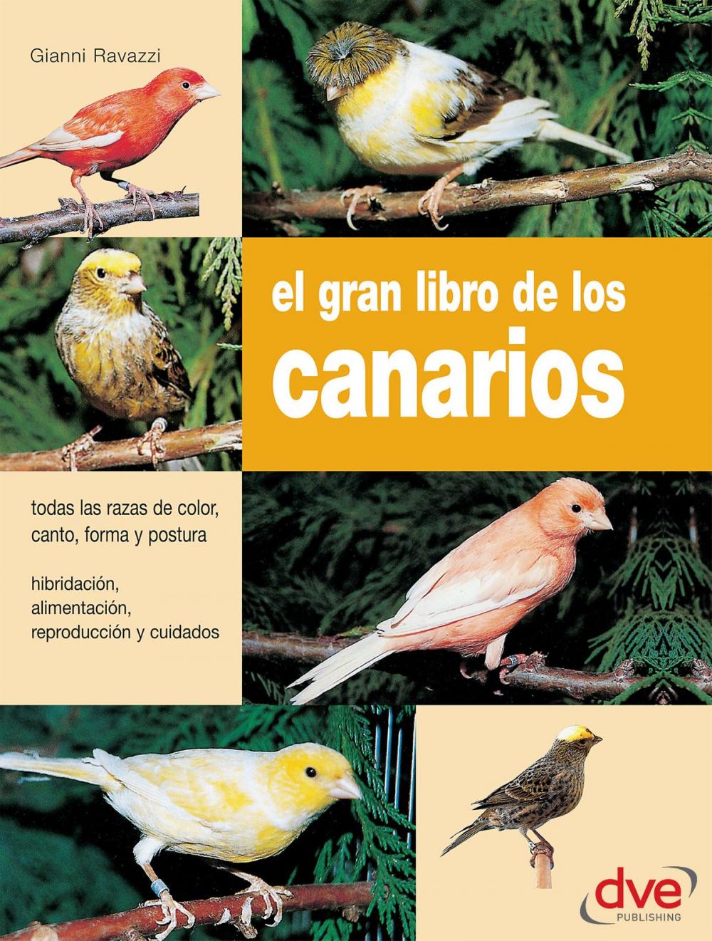 Big bigCover of El gran libro de los canarios