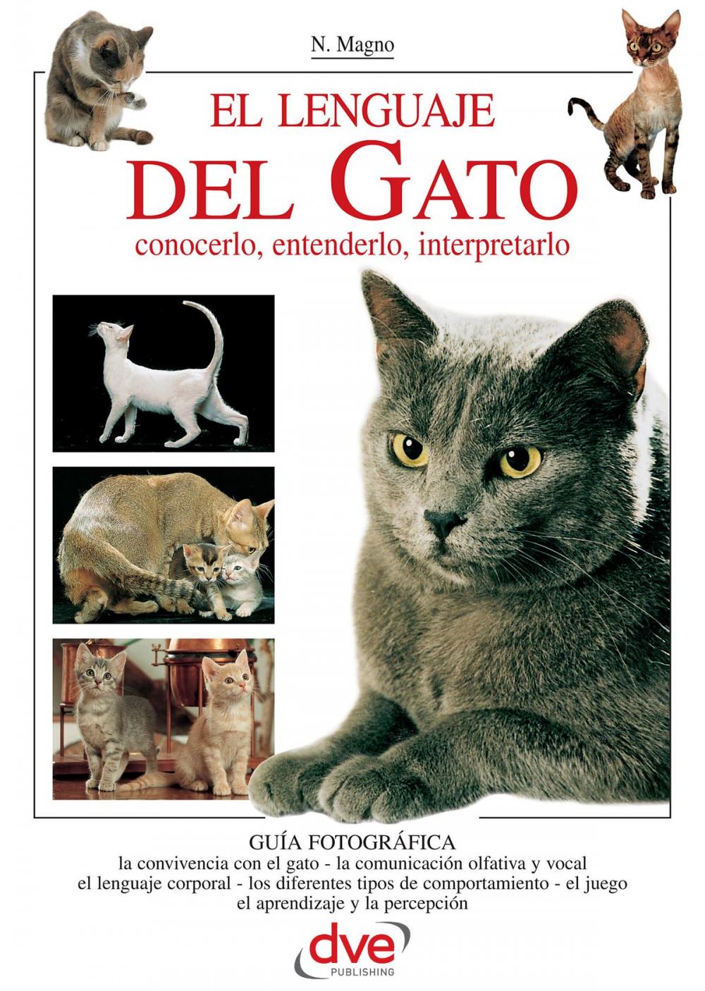 Big bigCover of EL LENGUAJE DEL GATO