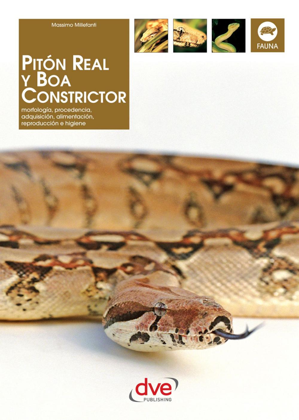 Big bigCover of PITÓN REAL Y BOA CONSTRICTOR