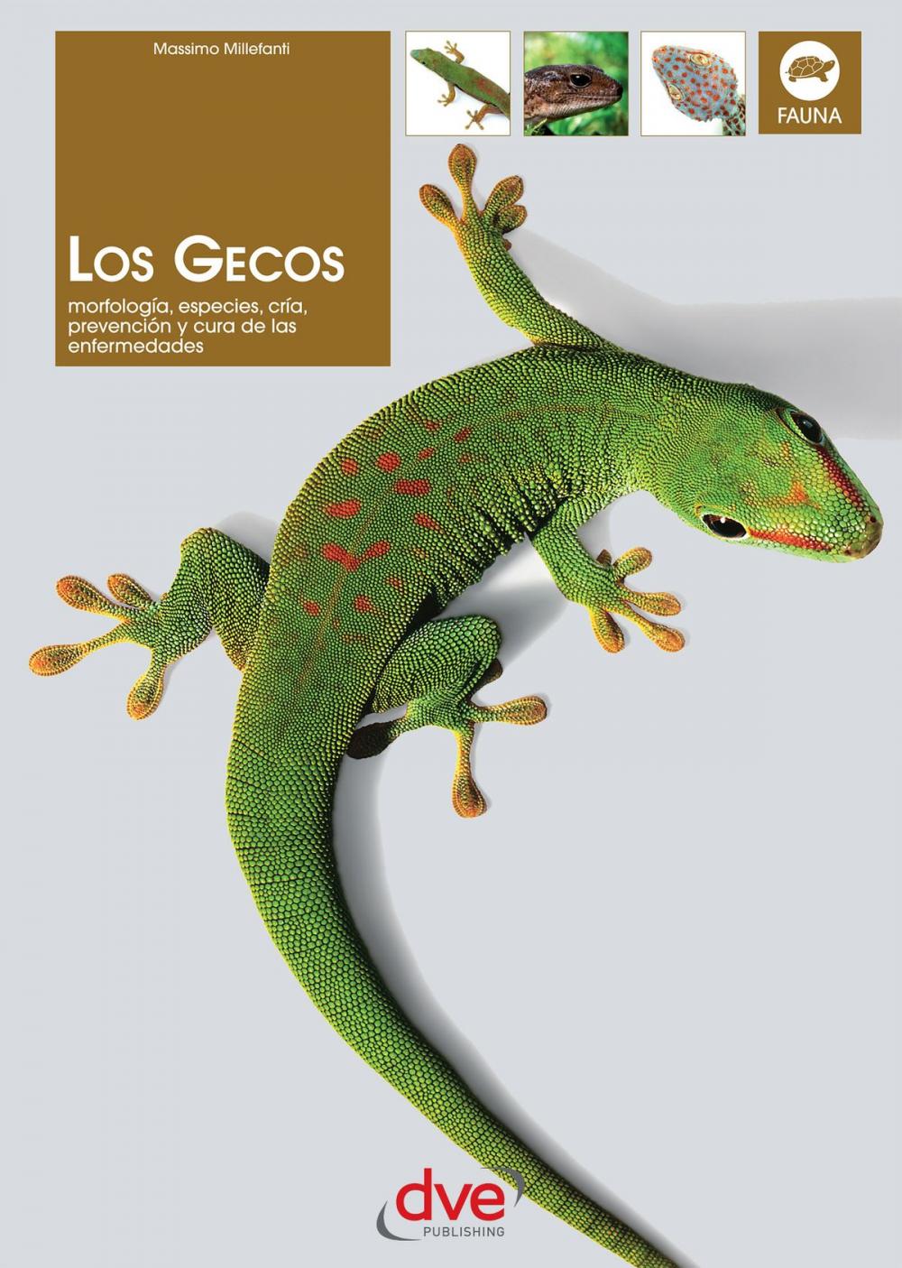 Big bigCover of Los gecos