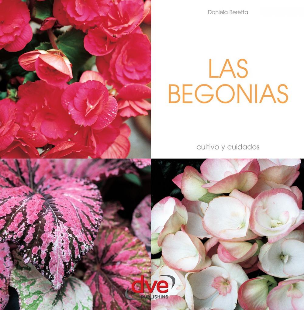 Big bigCover of LAS BEGONIAS