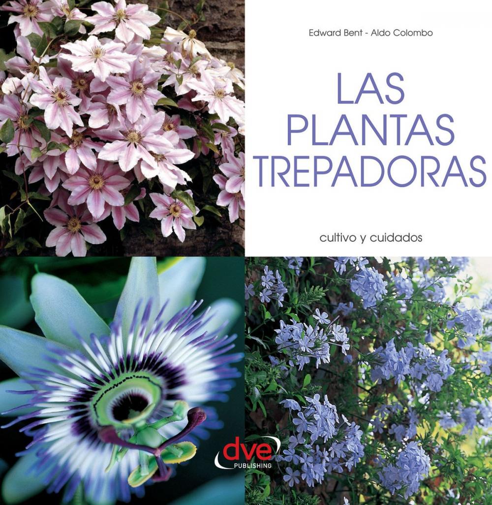 Big bigCover of LAS PLANTAS TREPADORAS